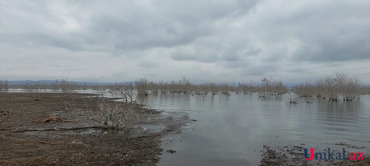 Kürdə batan balıqçıların axtarışları davam etdirilir - FOTOLAR